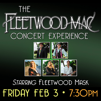 The Fleetwood Mac Concert Experience