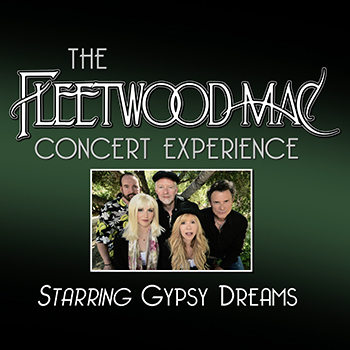 The Fleetwood Mac Concert Experience